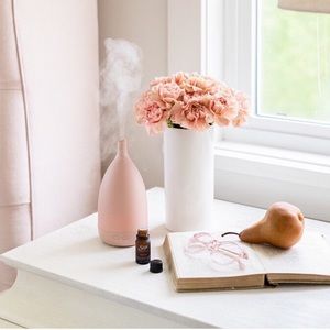 Saje Wellness Aroma Om Petite Diffuser Jillian Harris (Jilly Box Fall 2020)